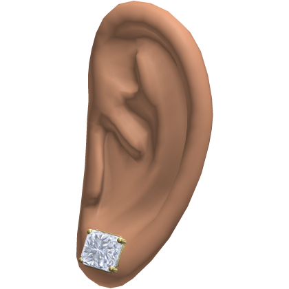 Diamond Stud Earrings Ears