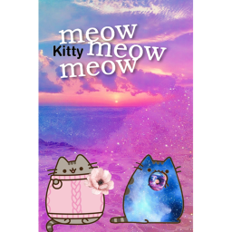 Kitty Cat neighborhood