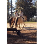 Stable Twins