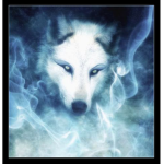 The Magic Ones