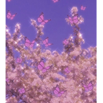 Butterflies purrr