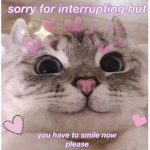 Cats rule >:3