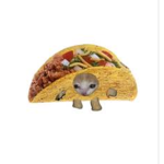 YeEtUs DeElEtUs