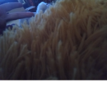 Darkbun:-) :-) :-)