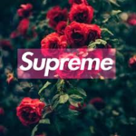 AESTHETIC CLAN