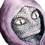 The Reptilian Brotherhood