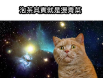 MVSD. XY團