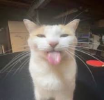 i cant come up with an original name