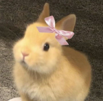 pls put down that banana