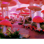 Mushroom club :D