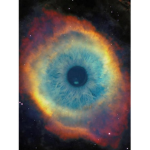The Realm of Vascardia