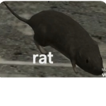 NoobNationn