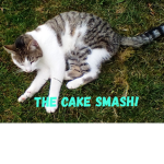 The Cake Smash!