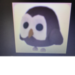 owl fan club forever