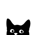 고양이 랜드