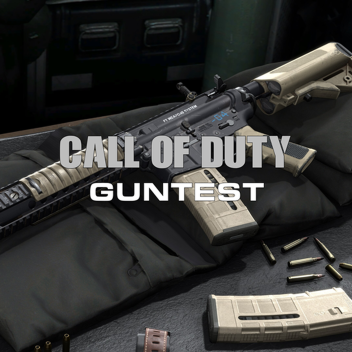 Call of duty: guntest