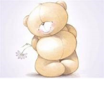 Bears Family