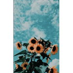Sophiemet14