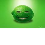 the lime life
