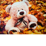 ~ Royal Teddies ~