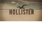 Hollister official
