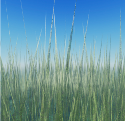 the grass lands