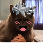 luhvcashq