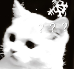 .ฅ^•ﻌ•^ฅ.