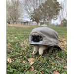 Puppy Clan__!