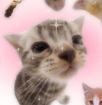 Cherriluvs