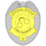 Local City Metro Sheriff's Department
