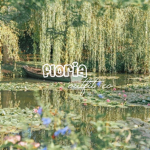 - floria -