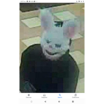Brookhaven rabbit rubber