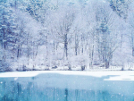 Frosted Donations