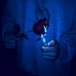 Memory lost