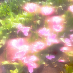 ,fairies'