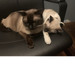 Friday night funky group +giveaways