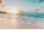 Ocean dream