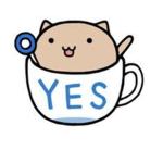 ~cat in cup!~