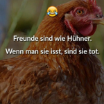 The cool Chicken