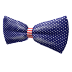 Flag Bow Tie