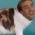 Warriors - The Five Clans