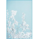 Blue aesthetic!