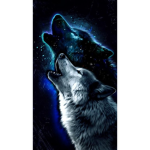 Wolf Boi’s