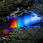 The Dark Rainbows