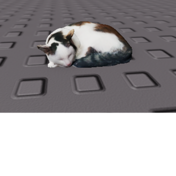 Witness Him