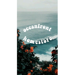 -oceanfront homestore-
