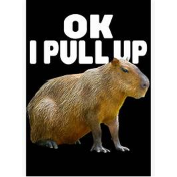 Capybots  (nextbots)