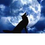 ~}-moon's closet-{~
