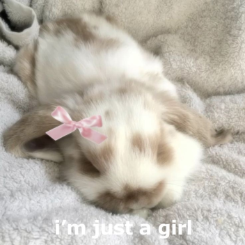 bunniie